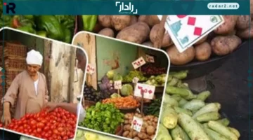 أسعار كيلو الطماطم والخضروات والفاكهة في كفر الشيخ اليوم